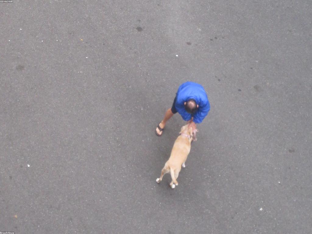 ការចេញផ្សាយហ្គេមថ្មីៗនៅឆ្នាំនេះ